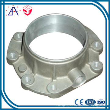 OEM Haute Qualité Die Casting (SY1209)